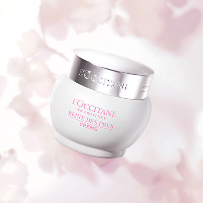 L'Occitane REINE BLANCHE 美白クリーム 50ml 2個 L'Occitane Reine Blanche Brightening Cream, 50ml : Amazon.in